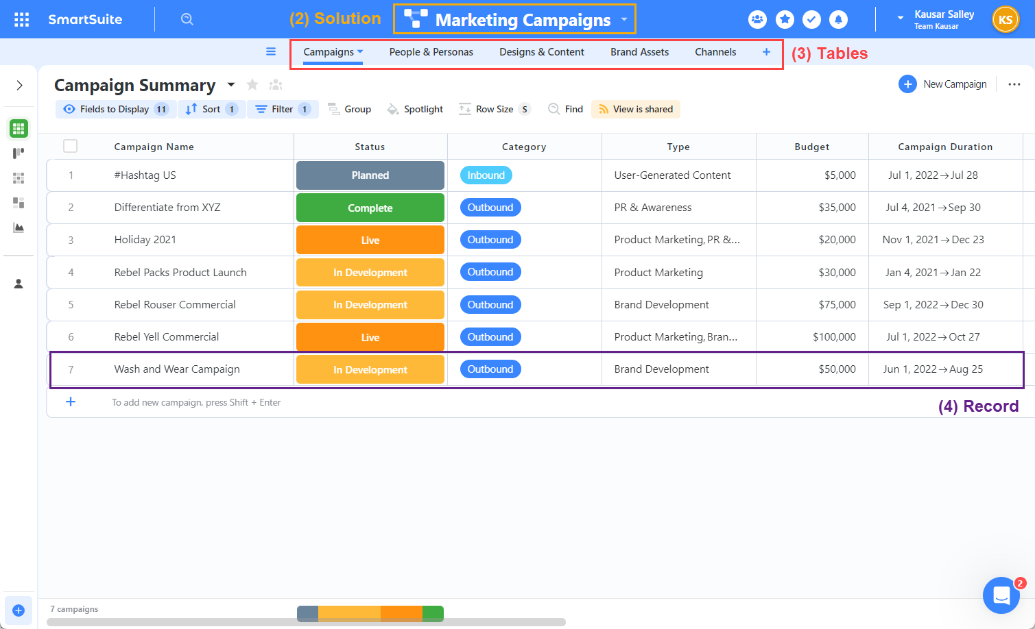 SmartSuite's Solution's interface