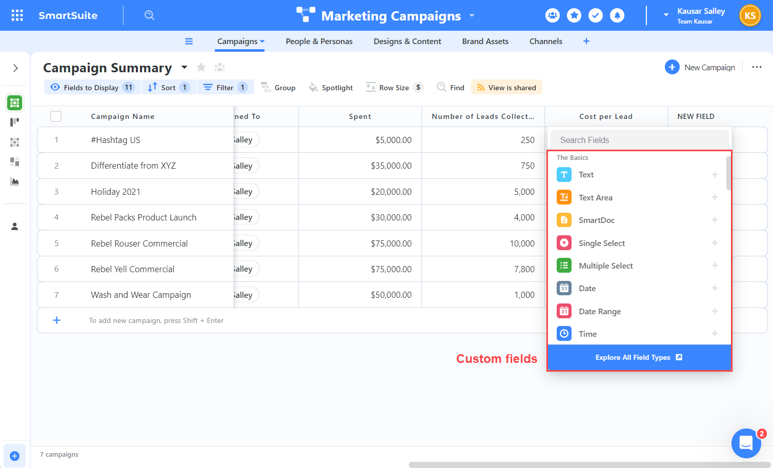 SmartSuite's custom fields